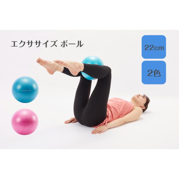 ミニ 空気入れ バランスボール バランスボードの人気商品 通販 価格比較 価格 Com