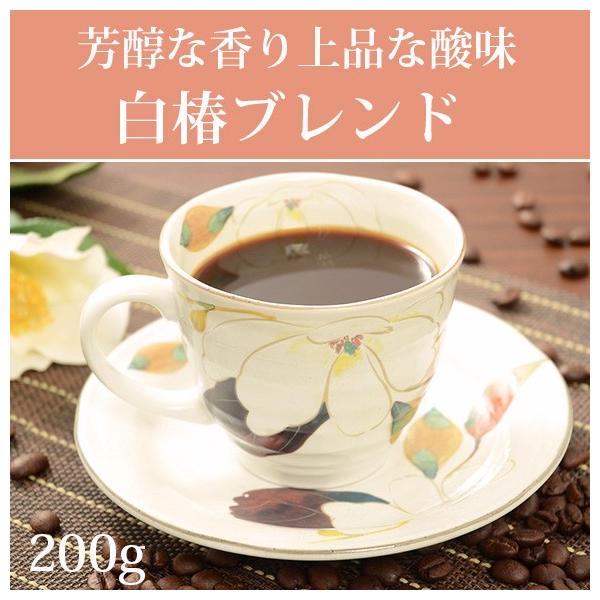 Ε ւ̉ԃC[W փuh200g   Hi Mtg  XC[c 2025 `R   Mtg