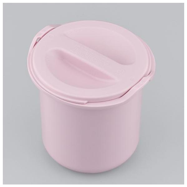 T[X DBQ-250 ͂eZbg lCr[sN THERMOS i