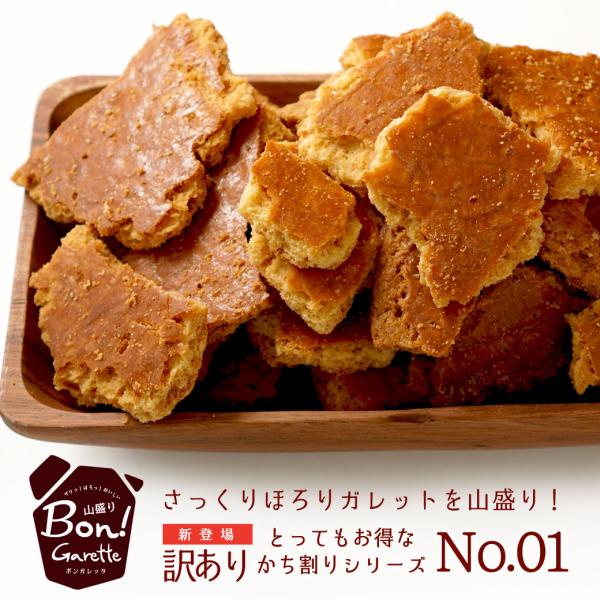 山盛り Bon！ガレット 大容量  送料無料 500g ガレットブルトンヌ　訳あり 洋菓子 焼菓子 スイーツ　オヤツ