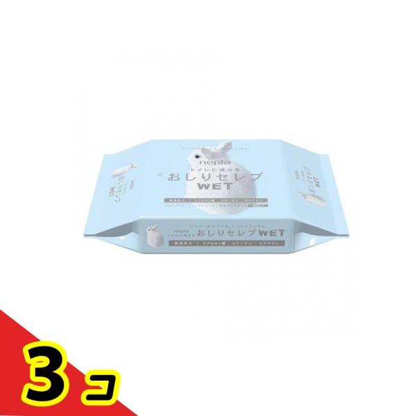 他サイト： ネピア おしりセレブ WET 無香料 60枚 (詰め替え用)  3個セットの商品画像