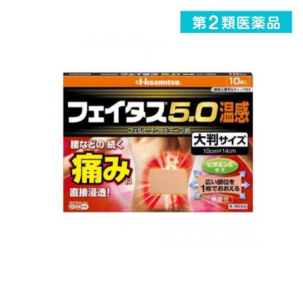 他サイト： 第２類医薬品 フェイタス5.0温感 大判サイズ 10cm×14cm 10枚入  (1個)の商品画像