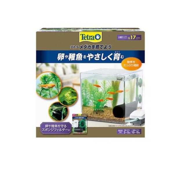 Tetra(テトラ) メダカを育てよう 1セット  (1個)