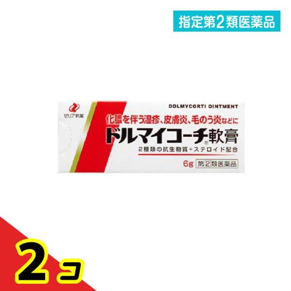 指定第２類医薬品 ドルマイコーチ軟膏 6g 抗菌 軟膏 化膿  2個セット