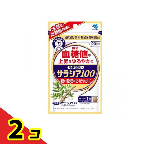 小林製薬 - 小林製薬　サラシア100 特定保健用食品(60粒) 4セット 小林製薬のサラシア100(19.2g（320mg×60粒）)【特定保健用食品】