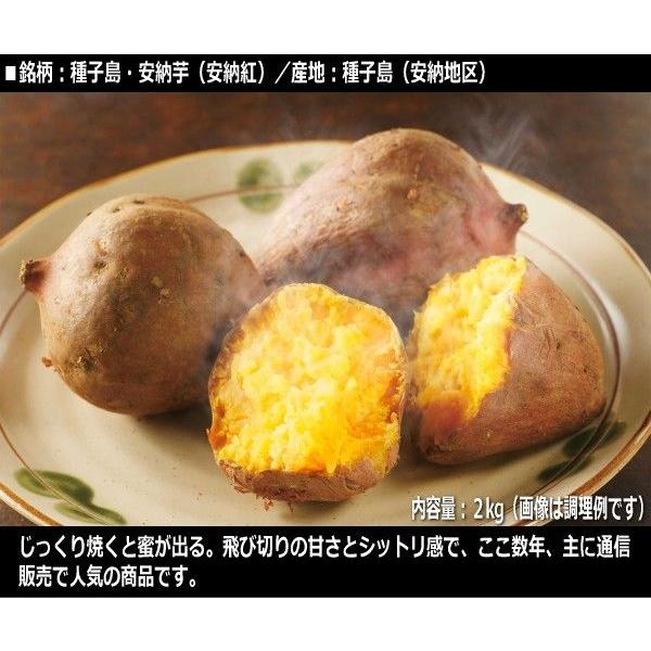 極甘芋の食べ比べセット 安納芋2種 鳴門金時 計5kg Buyee Buyee 提供一站式最全面最专业现地yahoo Japan拍卖代bid代拍代购服务 Bot Online