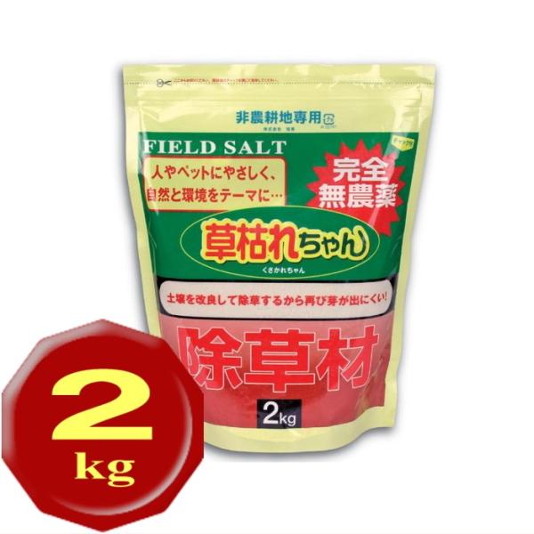   S̍_^Cv 2kg ƒp S _  ԏ n  G  _kn