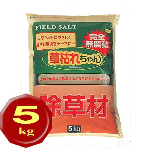   S̍_^Cv 5kg  _ S ƒp _kn  ԏ n  G