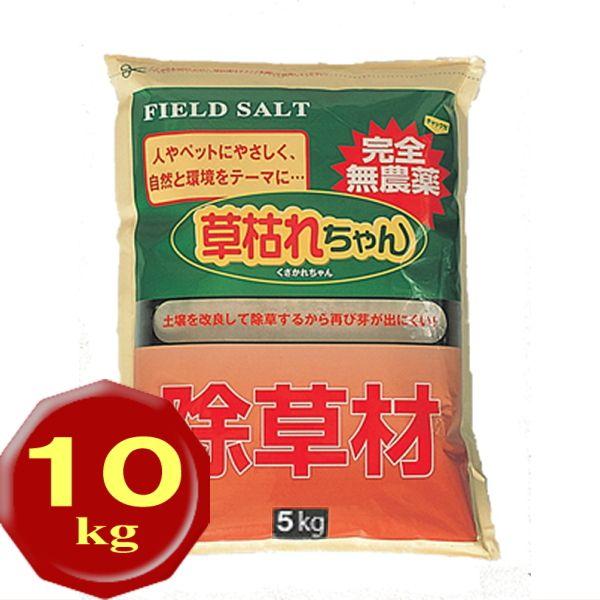   S̍_^Cv 10kg _ S ƒp _kn  ԏ n  G 