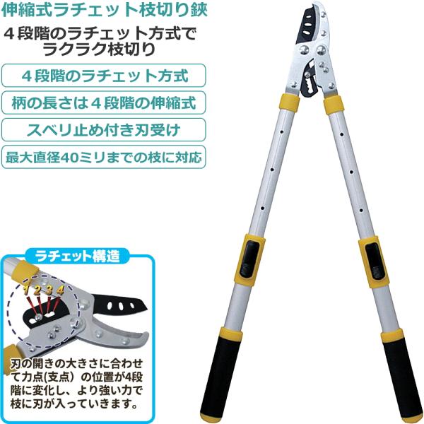 ナラ(どんぐり)の木 丸太 切口径 ４０㎝×３７㎝ 高さ ４８㎝ 重さ ６４kg 41e0PyBJBYL.jpg_BO30,255,255,