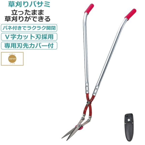  ͂ 荞݂΂ G Ő  VJbgn { ܂܍Ƃł܂