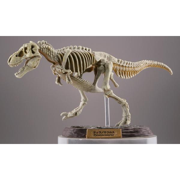 海洋堂 カプセルqミュージアム 恐竜発掘記6 恐竜全身骨格展示室 ナチュラルカラー ガチャガチャ 全5種セット Buyee 日本代购平台 产品购物网站大全 Buyee一站式代购 Bot Online