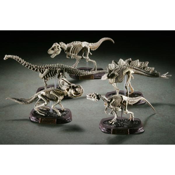 海洋堂 カプセルqミュージアム 恐竜発掘記6 恐竜全身骨格展示室 ガチャガチャ 全10種セット フルコンプ Buyee Buyee 日本の通販商品 オークションの代理入札 代理購入