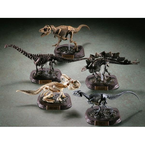 海洋堂 カプセルqミュージアム 恐竜発掘記6 恐竜全身骨格展示室 ガチャガチャ 全10種セット フルコンプ Buyee Buyee 日本の通販商品 オークションの代理入札 代理購入
