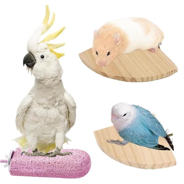 「商品情報」「主な仕様」簡単に洗える小動物・小鳥用爪とぎステップ！ この爪とぎステップは、爪を少しずつ自然に削るざらざらした表面が特徴です。衛生的な樹脂製で丸洗いが可能なので、清潔さを保ちながら使えます。小動物や小鳥のケージに縦向き・横向き...