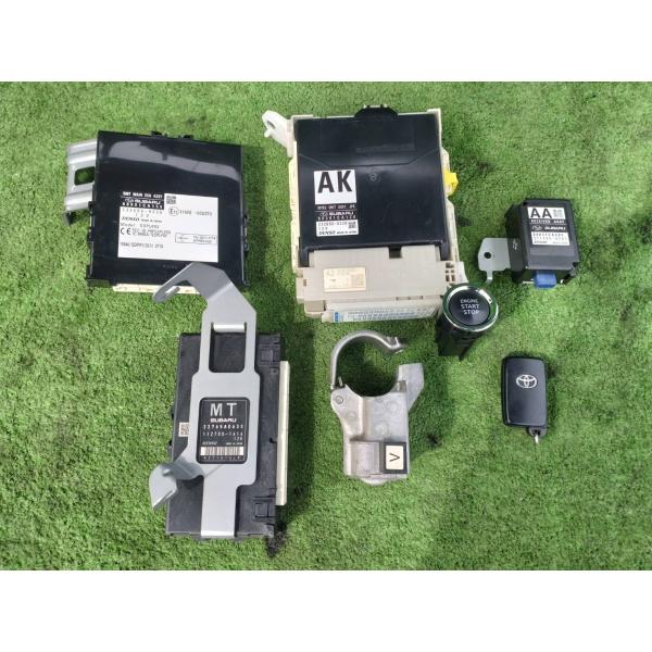 tsujiisyotencoltd2_sg0491001