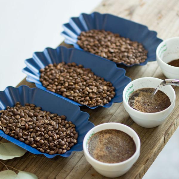 G߂̃XyVeBR[q[ 3퍇v400g ݔ׃Zbg /   VOIW VN  R[q[ R[q[  coffee original set