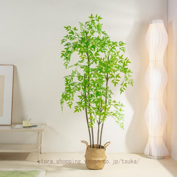 人工観葉植物 大きな木の形状 あんしん樹形セレクト | 観葉植物の通販ならHitoHana（ひとはな）
