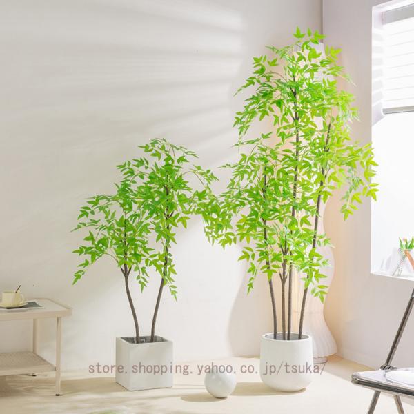 tsuka_3jt-nfw-mqggxn