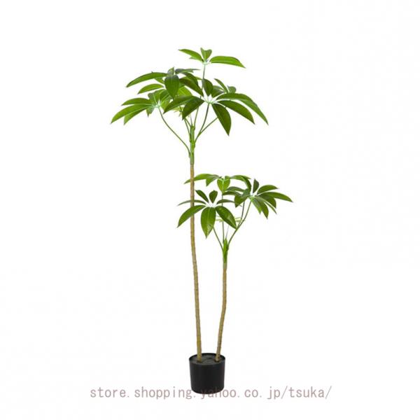 [Release date: September 20, 2025]■素材：本体・葉=PE■ フォルムを自由に調整できる!■ ペットや小さなお子さまがいても安心!■ 長期不在でもそのまま飾れる!■ 植物アレルギーの方にも配慮できる!■ フェ...