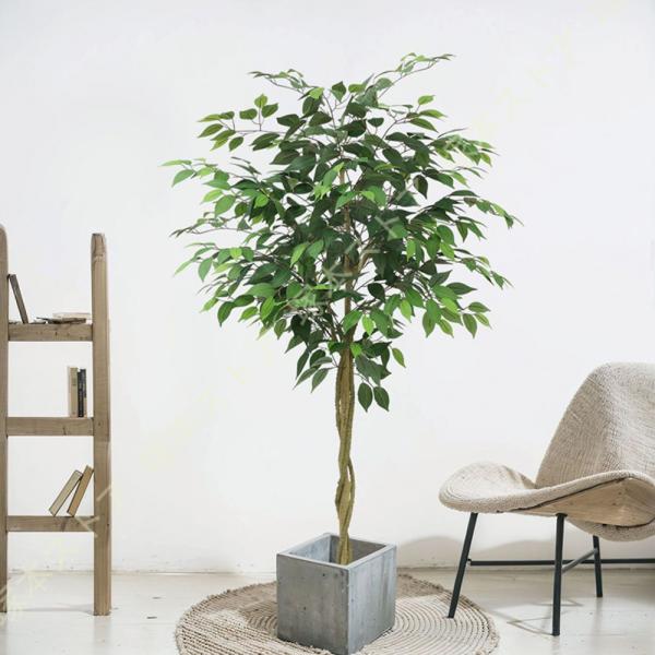 [Release date: October 17, 2025]■素材：本体・葉=PE■ フォルムを自由に調整できる!■ ペットや小さなお子さまがいても安心!■ 長期不在でもそのまま飾れる!■ 植物アレルギーの方にも配慮できる!■ フェイク...