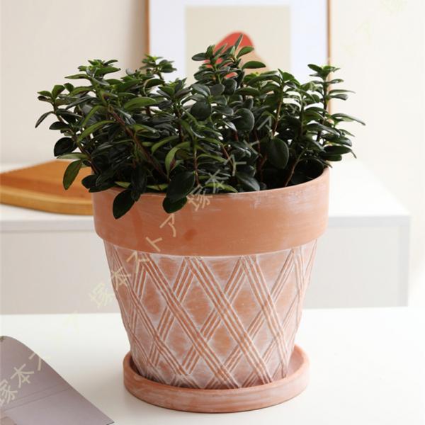 植木鉢 陶器 植木鉢 鉢 おしゃれ テラコッタ 陶器鉢 観葉植物 底穴付き 円筒形鉢 おしゃれ セラミック 穴付き プランター 20cm シンプル レッド 赤い盆 赤い陶