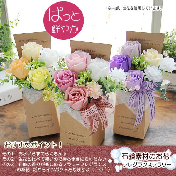 �\�[�v�t�����[ �� �M�t�g �v���[���g �A�����W�����g �V���{���t�����[  �j���A���X�J���[BOX �a���� �V�z�j�� ���i�摜1