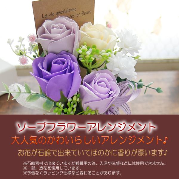 �\�[�v�t�����[ �� �M�t�g �v���[���g �A�����W�����g �V���{���t�����[  �j���A���X�J���[BOX �a���� �V�z�j�� ���i�摜3