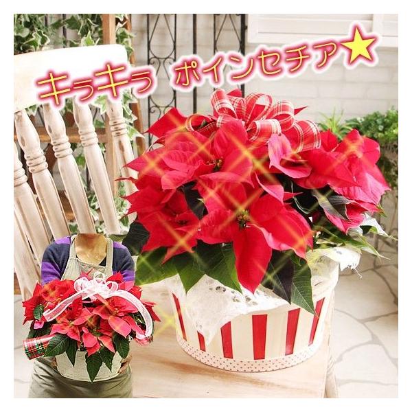 |CZ`A NX}X Ε {[_TCY |CZ`A Mtg  T[N{[Zbg  A