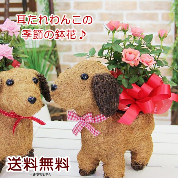 かわいいわんこのカゴに季節の植物♪　お花を可愛くお届けいたします！【商品サイズ：目安】：画像に記載【メッセージカード・立札】ご希望の場合、ご注文時「メッセージ・立札記入欄」にお書き下さい。※立札を立てるのが不可能な商品の場合はメッセージカー...