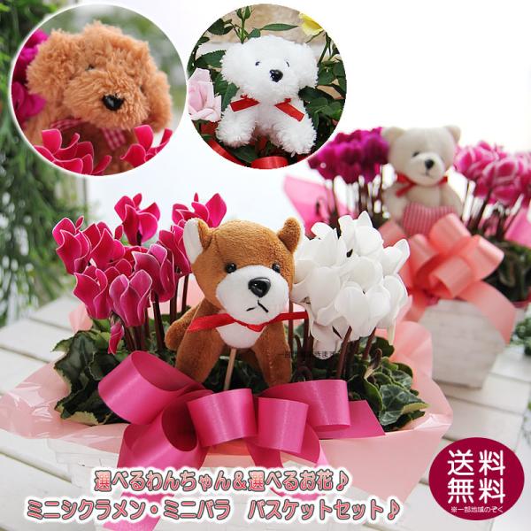 生花 ミニバラの人気商品 通販 価格比較 価格 Com