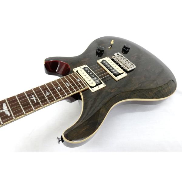 Paul Reed Smith (PRS) SE Custom 24 Ziricote : T-GAKKI - 通販