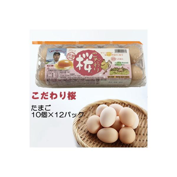 卵 まとめ買い こだわり 高品質 たまご タマゴ 玉子