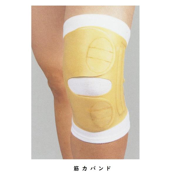 筋力バンド