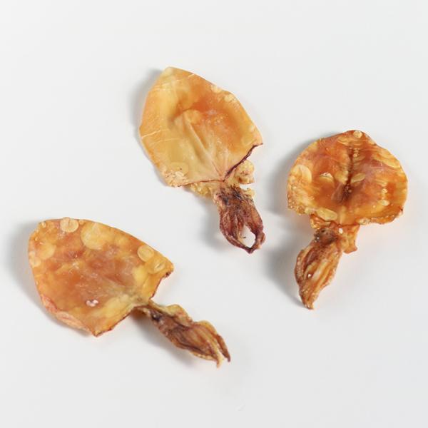 業務用 焼き剣先 500g 珍味 剣先するめ おつまみ 酒のあて するめ スルメイカ つまみ Buyee Buyee 日本の通販商品 オークションの代理入札 代理購入