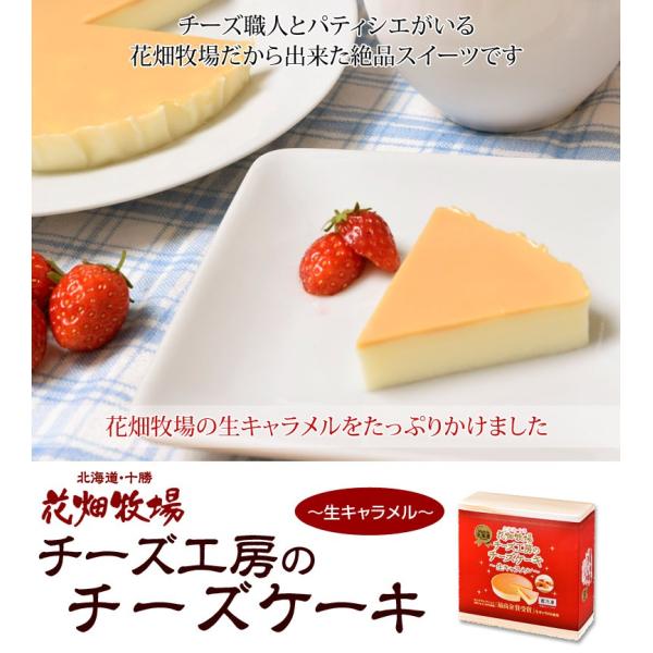 賞味間近 花畑牧場 チーズケーキ 生キャラメル 0g スイーツ お取り寄せ 化粧箱入り 冷凍 同梱可能 Buyee Buyee Japanese Proxy Service Buy From Japan Bot Online
