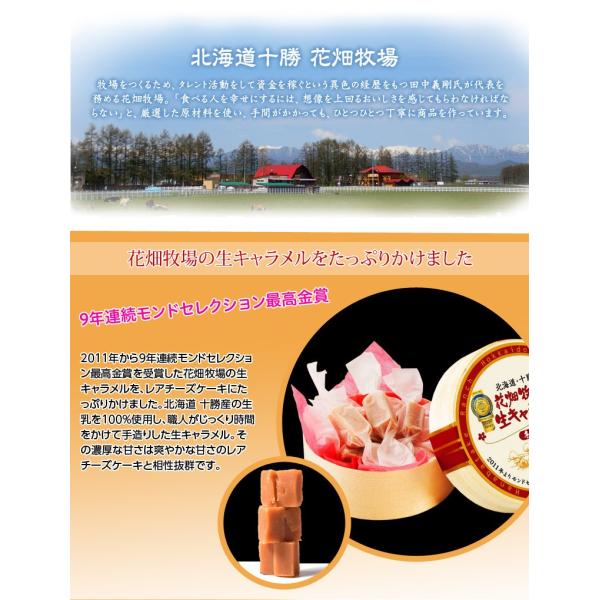 賞味間近 花畑牧場 チーズケーキ 生キャラメル 0g スイーツ お取り寄せ 化粧箱入り 冷凍 同梱可能 Buyee Buyee Japanese Proxy Service Buy From Japan Bot Online