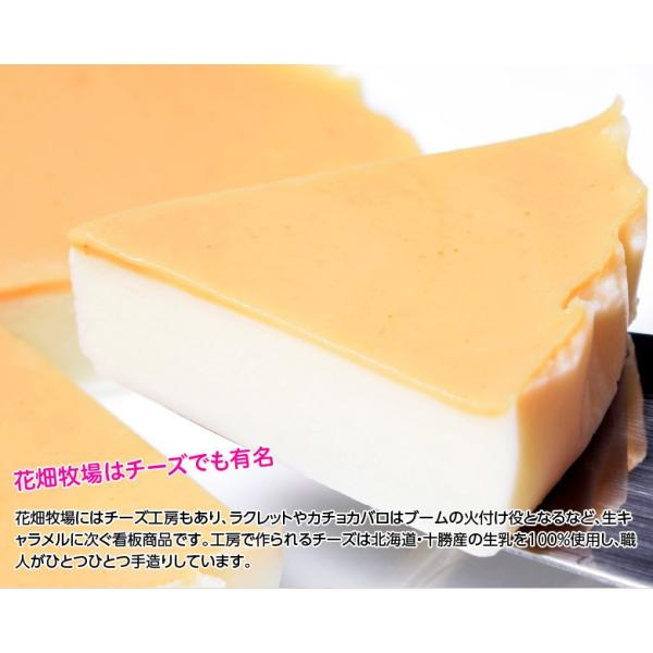賞味間近 花畑牧場 チーズケーキ 生キャラメル 0g スイーツ お取り寄せ 化粧箱入り 冷凍 同梱可能 Buyee Buyee Japanese Proxy Service Buy From Japan Bot Online