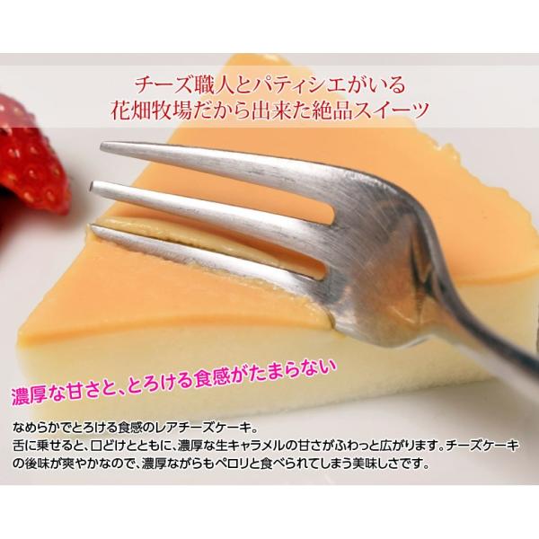 賞味間近 花畑牧場 チーズケーキ 生キャラメル 0g スイーツ お取り寄せ 化粧箱入り 冷凍 同梱可能 Buyee Buyee Japanese Proxy Service Buy From Japan Bot Online