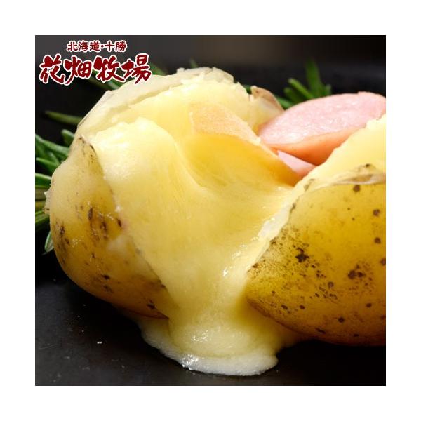 チーズ 花畑牧場 ラクレットチーズ スライス 500g 伸びるチーズ 十勝 北海道 ラクレット Raclette ナチュラルチーズ 冷凍 同梱可能 Buyee Buyee 提供一站式最全面最專業現地yahoo Japan拍賣代bid代拍代購服務 Bot Online