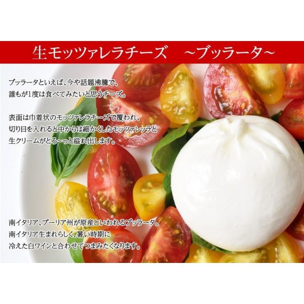 チーズ 花畑牧場 ブッラータ 生 モッツァレラ ブラータ 70g 9個入り ナチュラルチーズ 冷凍 Buyee Buyee 日本の通販商品 オークションの代理入札 代理購入