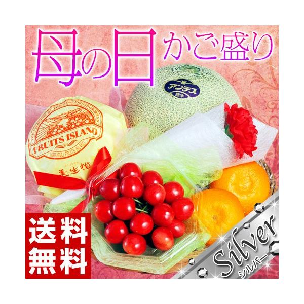 母の日 プレゼント ギフト 国産 フルーツ カゴ盛り 4種セット シルバー カーネーション メッセージカード付き 造花 送料無料 Buyee Buyee 提供一站式最全面最專業現地yahoo Japan拍賣代bid代拍代購服務 Bot Online