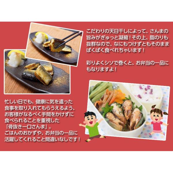 天日干し骨抜きひとくちサンマ 1袋500g 冷凍 Buyee Buyee Japanese Proxy Service Buy From Japan Bot Online