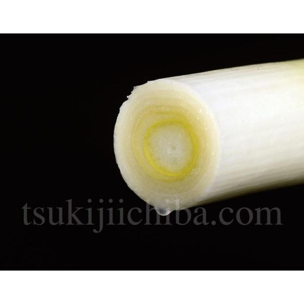 送料無料 千住葱商 葱茂の 千寿葱 金品 極太 約3kg 10 18本入 化粧箱入 Buyee Buyee 日本の通販商品 オークションの代理入札 代理購入