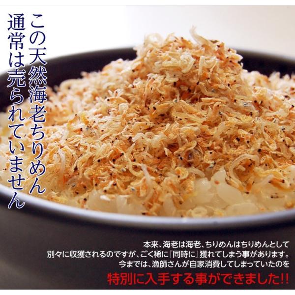 ポイント消化 国内産 天然 海老ちりめん 50g 3袋 えび エビ じゃこ ふりかけ 国産 送料無料 ゆうメール Buyee Buyee 提供一站式最全面最專業現地yahoo Japan拍賣代bid代拍代購服務 Bot Online