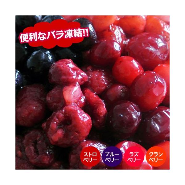 冷凍ミックスベリー 500g イチゴ いちご ストロベリー ブルーベリー 冷凍フルーツ ラズベリー 同梱可能 クランベリー 贈呈 冷凍