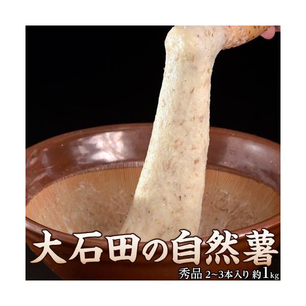 イモ類 自然薯の人気商品・通販・価格比較 - 価格.com イモ類 自然薯の人気商品・通販・価格比較 - 価格.com