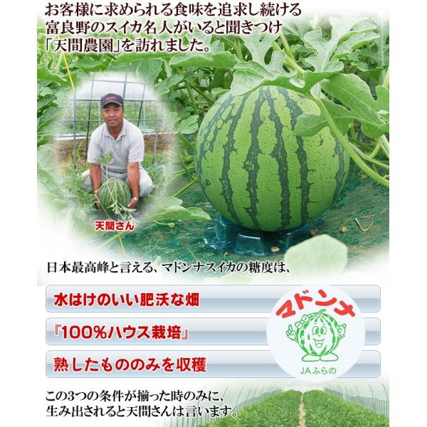 すいか スイカ 西瓜 北海道富良野産 マドンナすいか 3lサイズ 7kg 以上 送料無料 Buyee Buyee Japanese Proxy Service Buy From Japan Bot Online