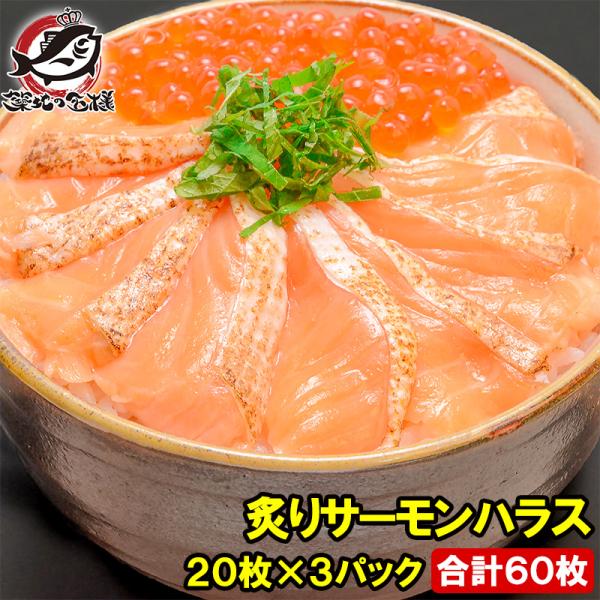 炙りさーもん出品 炙りサーモン(刺身用)【冷凍便】の通販・お取り寄せ「築地魚群」