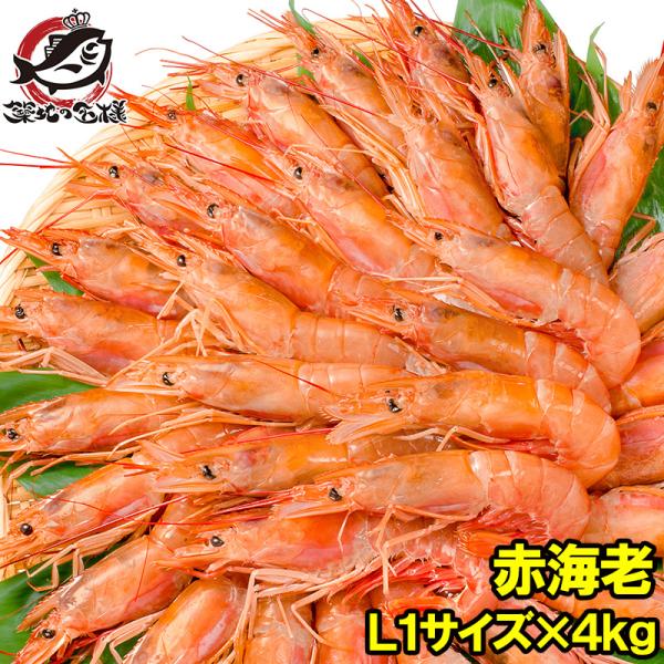 父の日 赤海老 赤えび 4kg 超特大 L1 20〜40尾 業務用 2kg×2箱 赤エビ あかえび アカエビ 寿司 刺身用